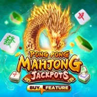 Cấp độ VIP Bạch Kim của Siglebet