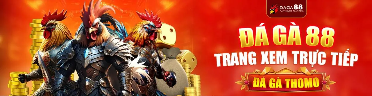 Sân đấu đá gà trực tuyến Siglebet 2026 kịch tính